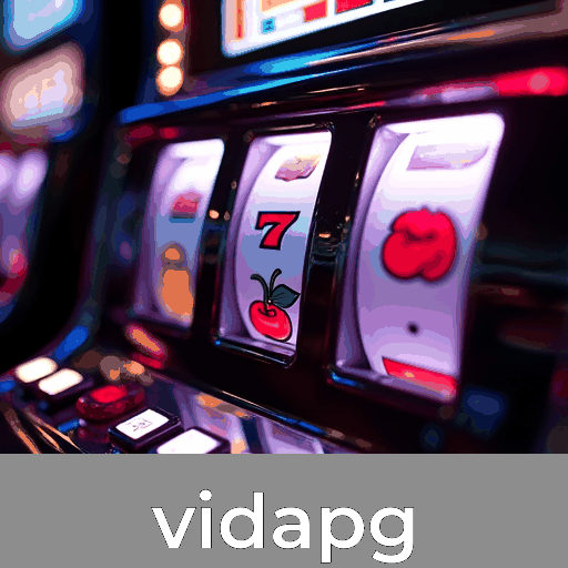 Vivencie o acesso premium e seguro no vidapg
